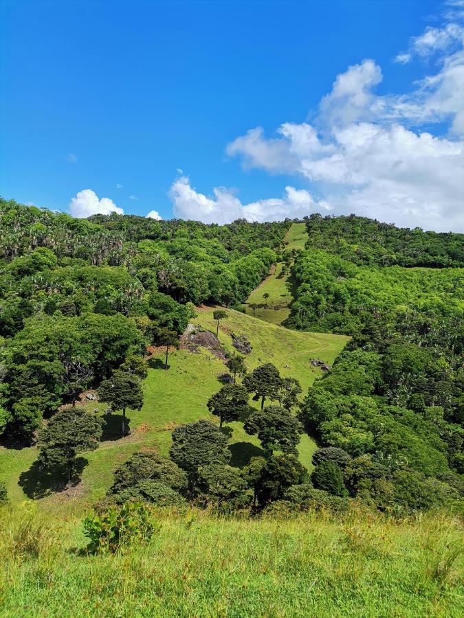 Ferney Nature Lodge มาเฮบอร์ก ภายนอก รูปภาพ
