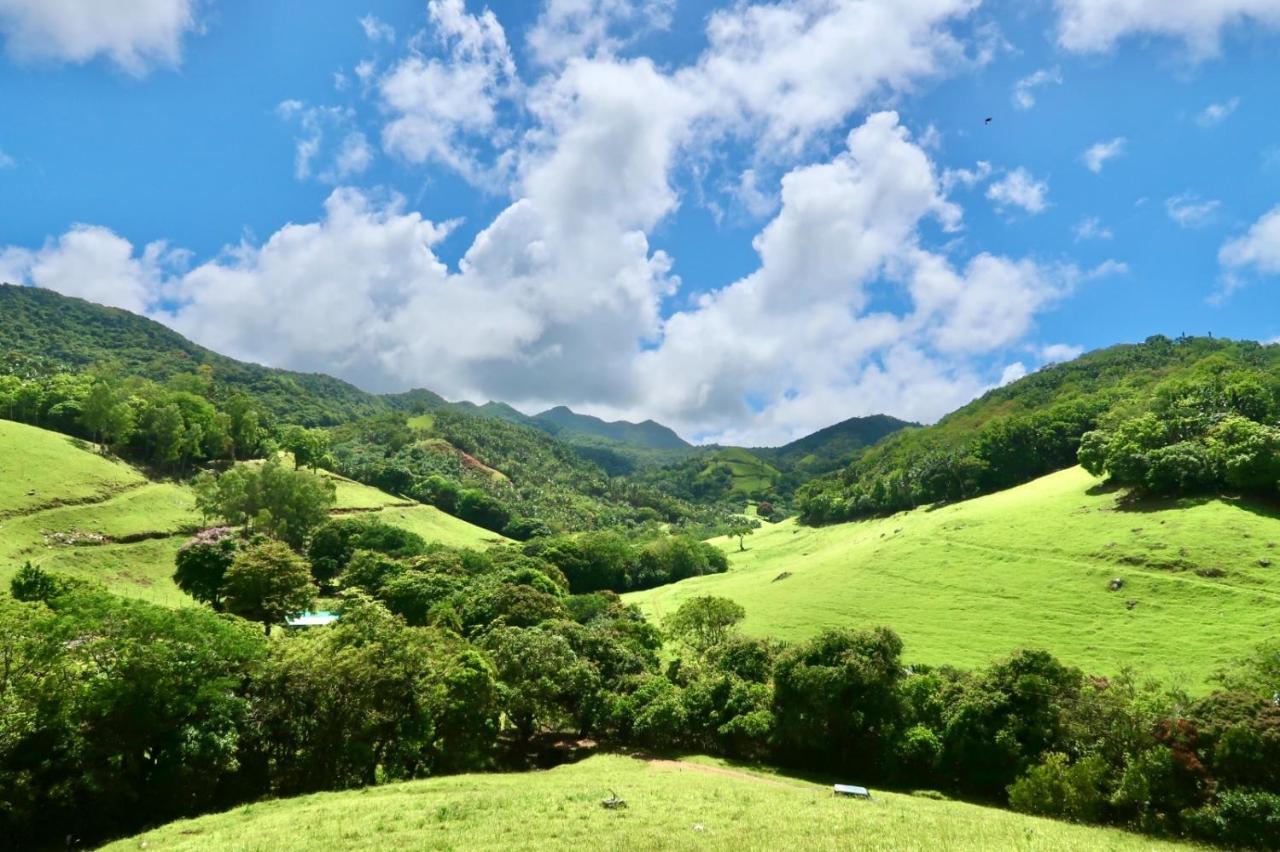 Ferney Nature Lodge มาเฮบอร์ก ภายนอก รูปภาพ